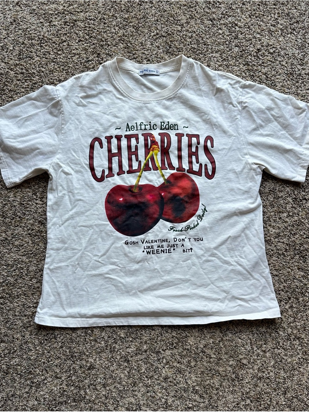Aelfric Eden Women’s Cherries oversized tee